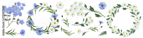 Botanical collection of wildflowers: blue cornflowers, forget-me-nots, flowers, white daisies, leaves, twigs, buds. Flower frame, wreath. Watercolor. © Erenai