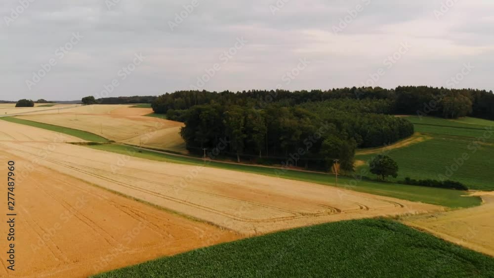 epic drone shot over different fields (corn, maize, barley)