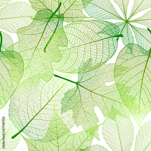 Seamless pattern with leaves. Vector illustration.