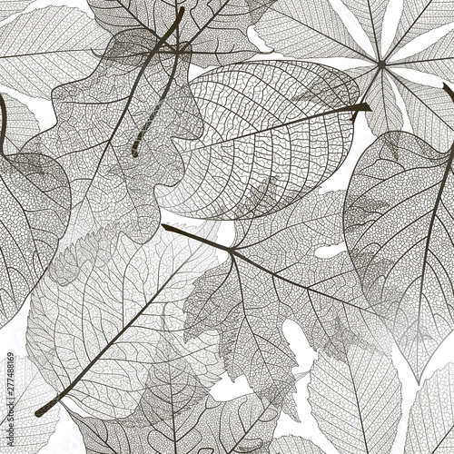 Seamless pattern with leaves. Vector illustration.