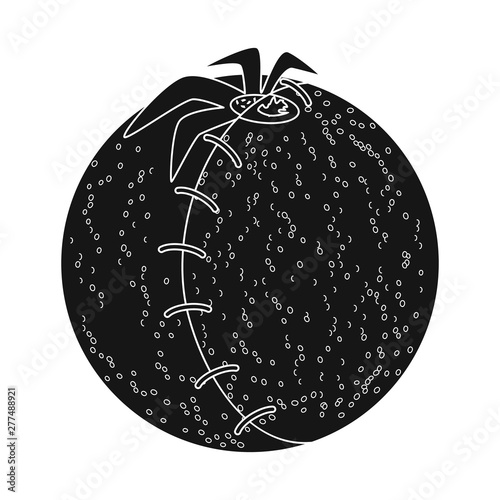 Vector illustration of tomato and gmo logo. Set of tomato and fruit stock symbol for web.