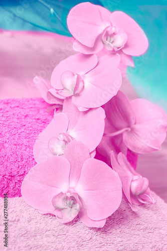 Fluffy terry towels and orchids phalaenopsis in pink and turquoise colors