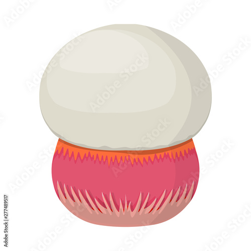 Isolated object of mushroom and boletus icon. Collection of mushroom and organic stock symbol for web.