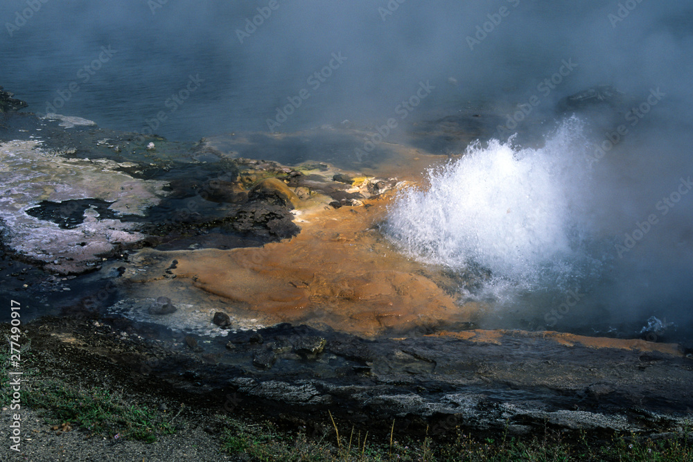 Obraz premium Geysir , eine Art von vulkanischer Aktivität im Yellowstone Nationalpark, dem erstee Nationalpark der USA