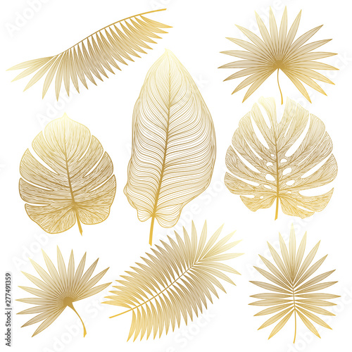 Set tropical leaf isolated. Vector illustration. 