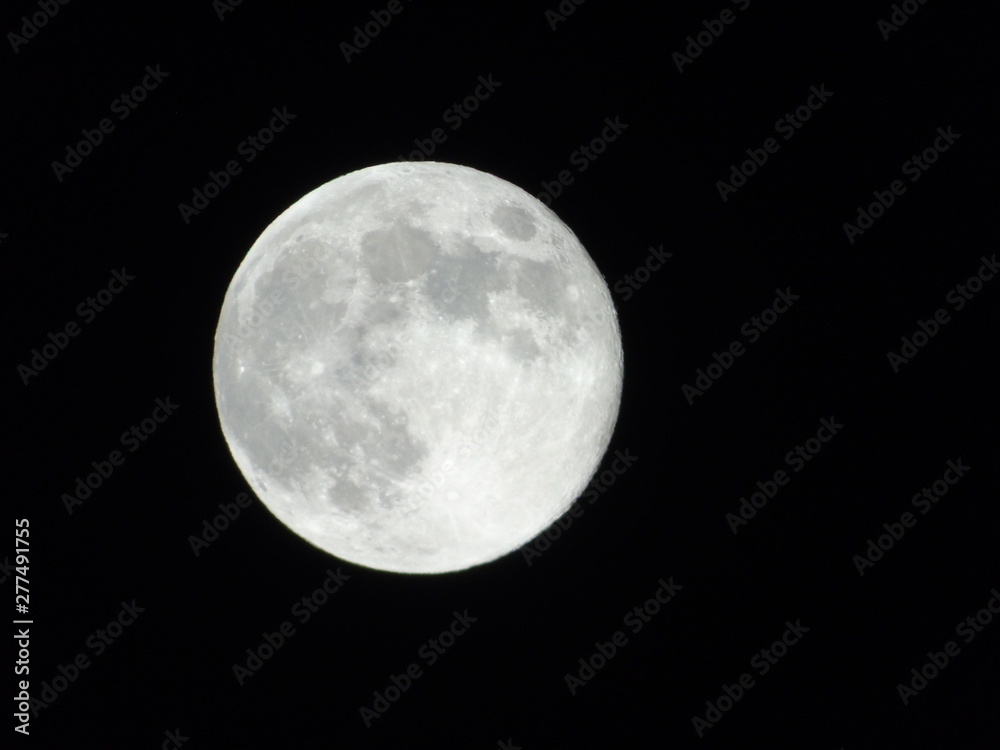 Fototapeta premium Full Moon Isolated on Black Background in summer days