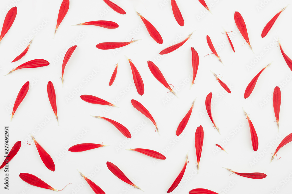 Top view of red petals Top view of red petals