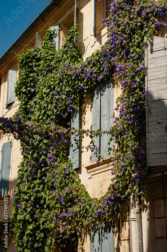 Casa Arles fiori finestra 