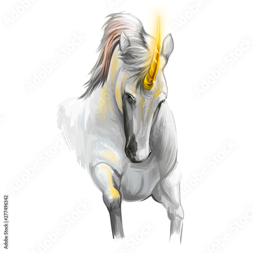 Unicorn digital art illustr...