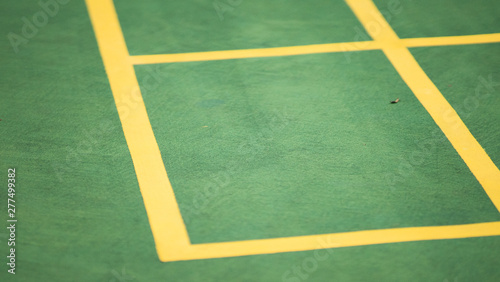 floor of basketball with marking lines