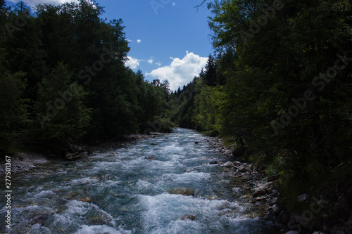 river in the forest