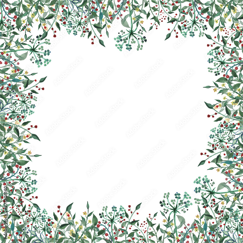 Watercolor frame with wildflower, herbs, leaf. collection garden, wild foliage, flowers, branches. illustration isolated on white background.