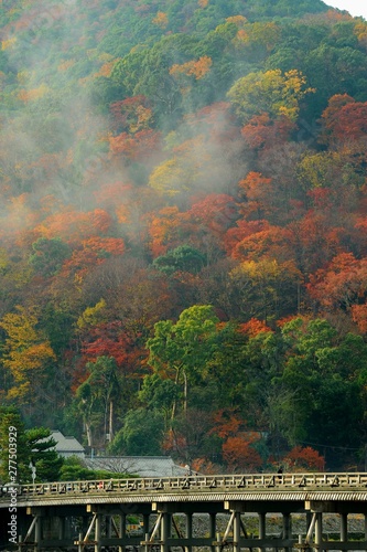 早朝の紅葉している嵐山に朝霧が掛かっている。