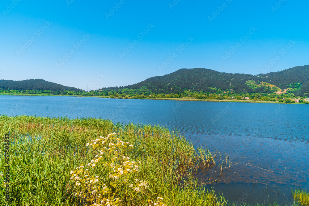 Lake View in Natural Forest