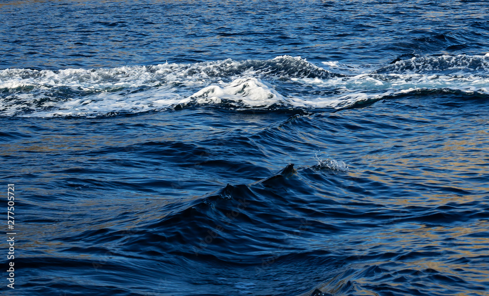 texture blue sea water