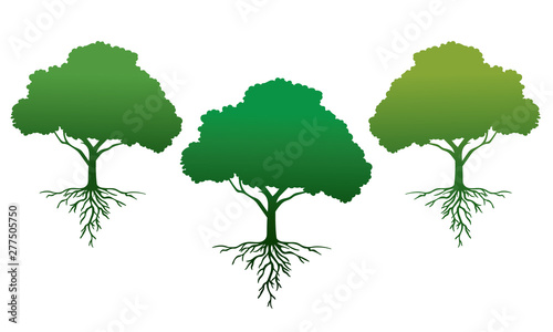 Hand drawn various icons of isolated gradient trees with roots. The element for decoration  emblems  logo