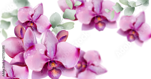 Orchid flowers Vector watercolor. Summer floral pattern backgrounds