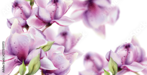 Orchid flowers Vector watercolor. Summer floral pattern backgrounds