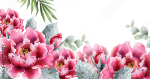 Peony flowers Vector watercolor. Delicate floral decor backgrounds
