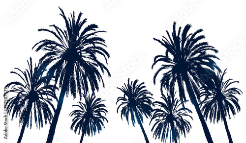 Fototapeta Naklejka Na Ścianę i Meble -  Summer background with palm trees silhouettes on white