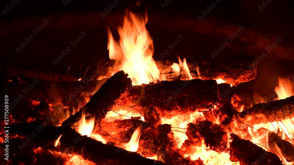 Nice bonfire wood fire nature close up 4k video Nice bonfire wood fire nature close up 4k video