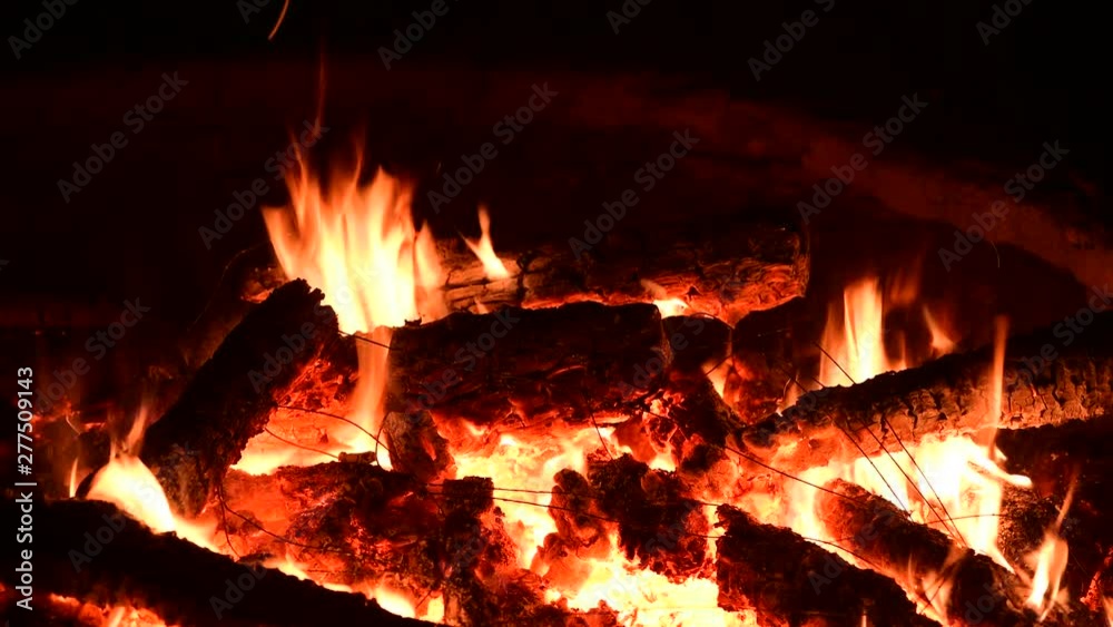 Nice bonfire wood fire nature close up 4k video Nice bonfire wood fire nature close up 4k video