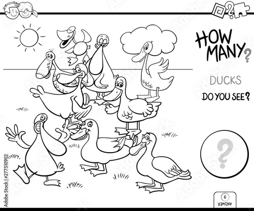 counting ducks educational task color book