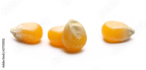 Raw corn kernels isolated on white background, macro