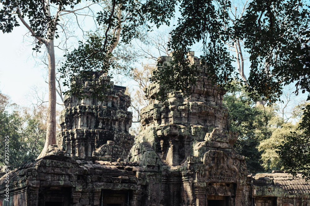 Naklejka premium Ta Prohm temple. Ancient Khmer architecture under the giant roots of a tree at Angkor Wat complex, Siem Reap, Cambodia