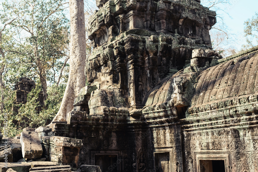 Fototapeta premium Ta Prohm temple. Ancient Khmer architecture under the giant roots of a tree at Angkor Wat complex, Siem Reap, Cambodia