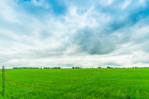 Green fields and bright blue sky. Summer landscape. Horizontal frame. Natural background