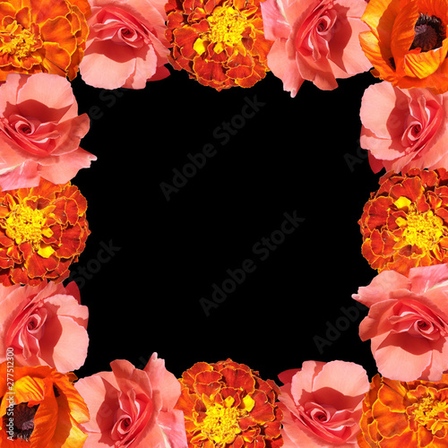 Beautiful floral background of marigolds, roses and poppies. Isolated