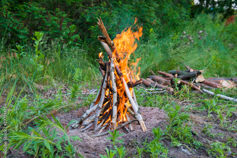 View of bonfire with bright orange flames and heap of firewoods at camp in green forest