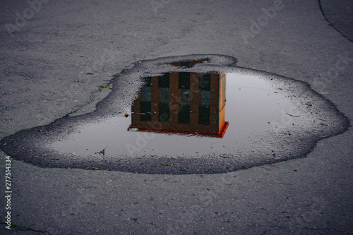 palm under a cloudy sky reflected in a urban puddle.