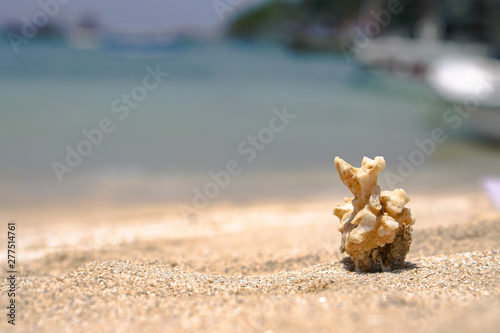 Corals rendered on the beach of the ocean. ruined reefs on the ocean. Background for travel themes, travel agencies. Stock photo