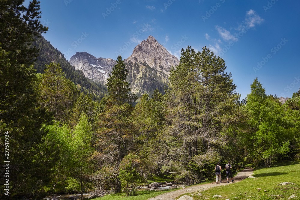 Φωτογραφία Road in a beautiful Aiguestortes i Estany de Sant Maurici National Park of the S
