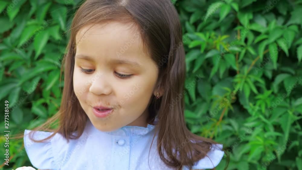 Little cute and funny girl in a blue dress grimaces and eats ice cream. In the background is a green hedge of Virginia creeper (Parthenocissus quinquefolia). Little cute and funny girl in a blue dress grimaces and eats ice cream. In the background is a green hedge of Virginia creeper (Parthenocissus quinquefolia).
