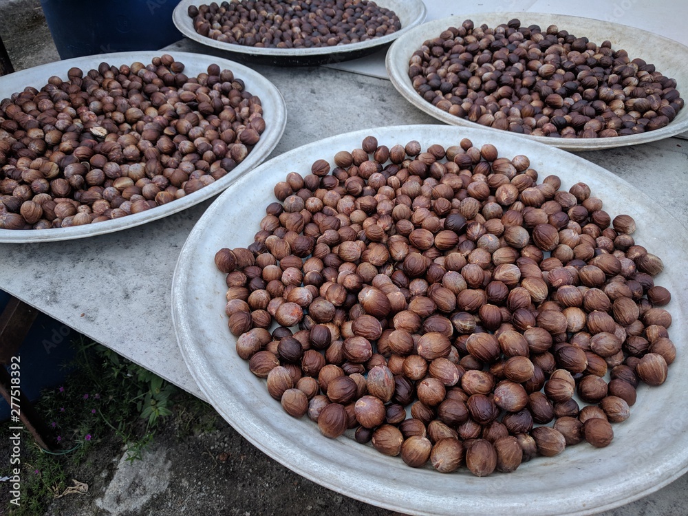 Dark brown nutmeg seeds drying naturally under the sun