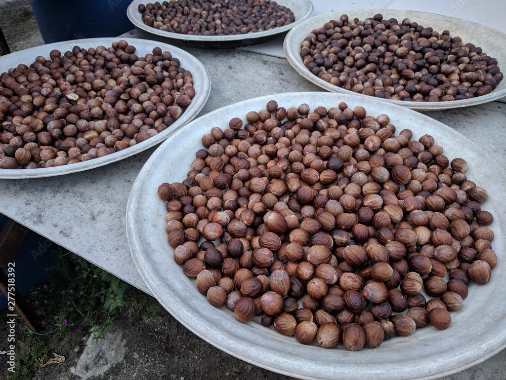 Dark brown nutmeg seeds drying naturally under the sun Dark brown nutmeg seeds drying naturally under the sun