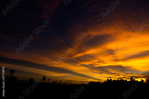 Twilight sky with multicolor cloud with silhouette forest.