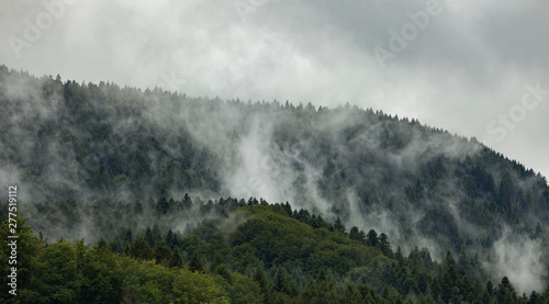 Montagne brumeuse 