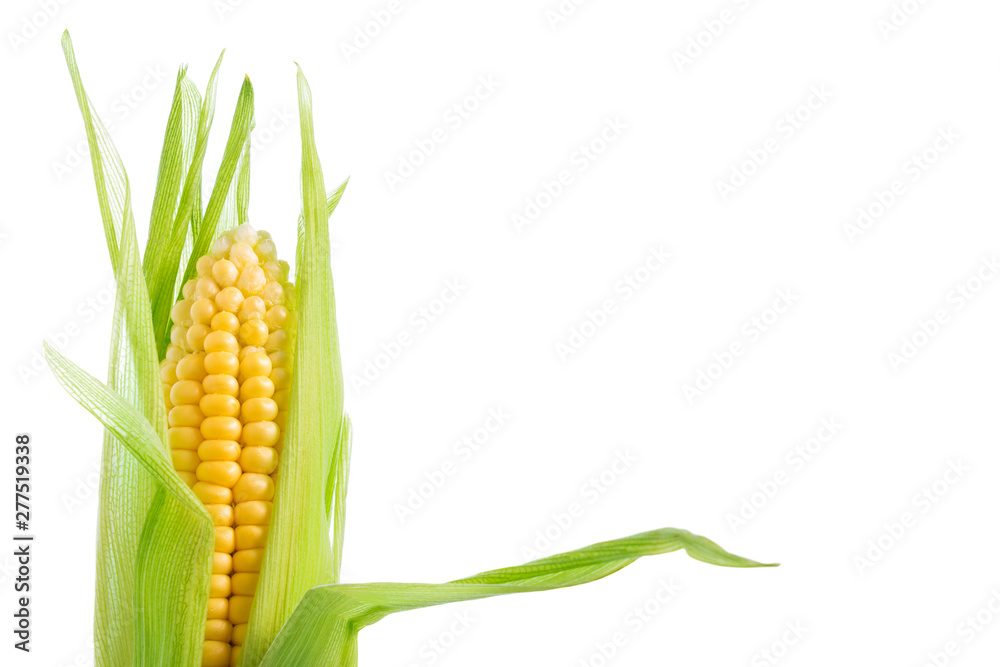 One ripe corn cob with green leaves isolated on white background One ripe corn cob with green leaves isolated on white background