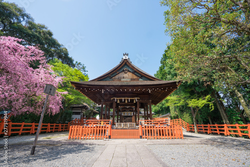 京都 建勲神社の拝殿と桜