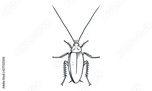 Vector lineart illustration of cockroach on white background, hand drawn top view cockroach insect sketch