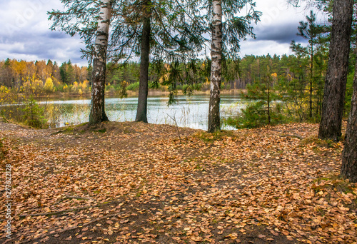 Beautiful forest lake old quarry rainy and gloomy autumn day