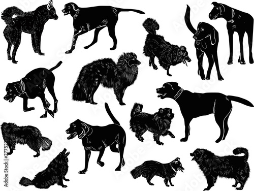 set of fourteen dogs sketches isolated on white