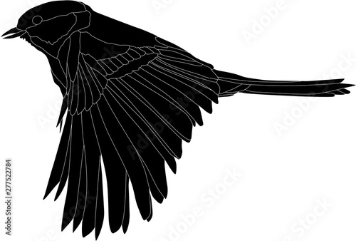 black illustration with great tit in flight silhouette