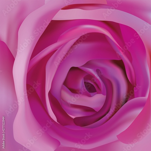 Center beautiful purple rose. Abstract rose. Purple rose close up. Beautiful flower. 3d realistic rose.