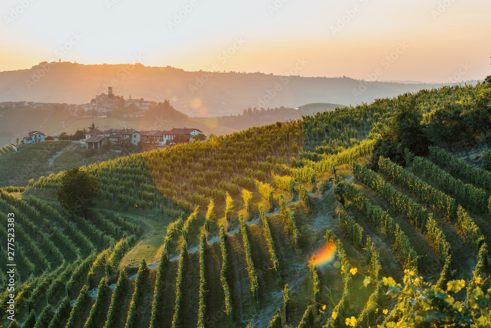 Langhe Region, vineyards at sunset. Serralunga d'Alba, Piedmont, Italy