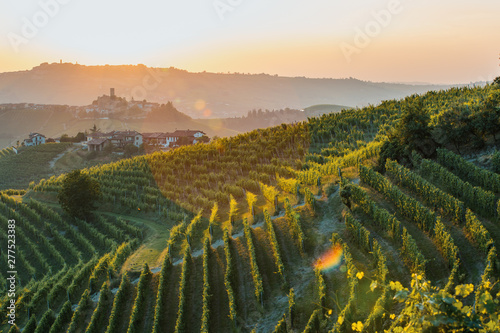 Langhe Region, vineyards at sunset. Serralunga d'Alba, Piedmont, Italy photo